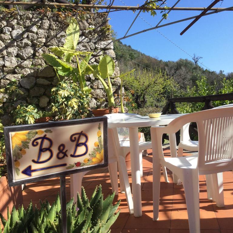 B&B Le Tre Casette Maratea Zewnętrze zdjęcie