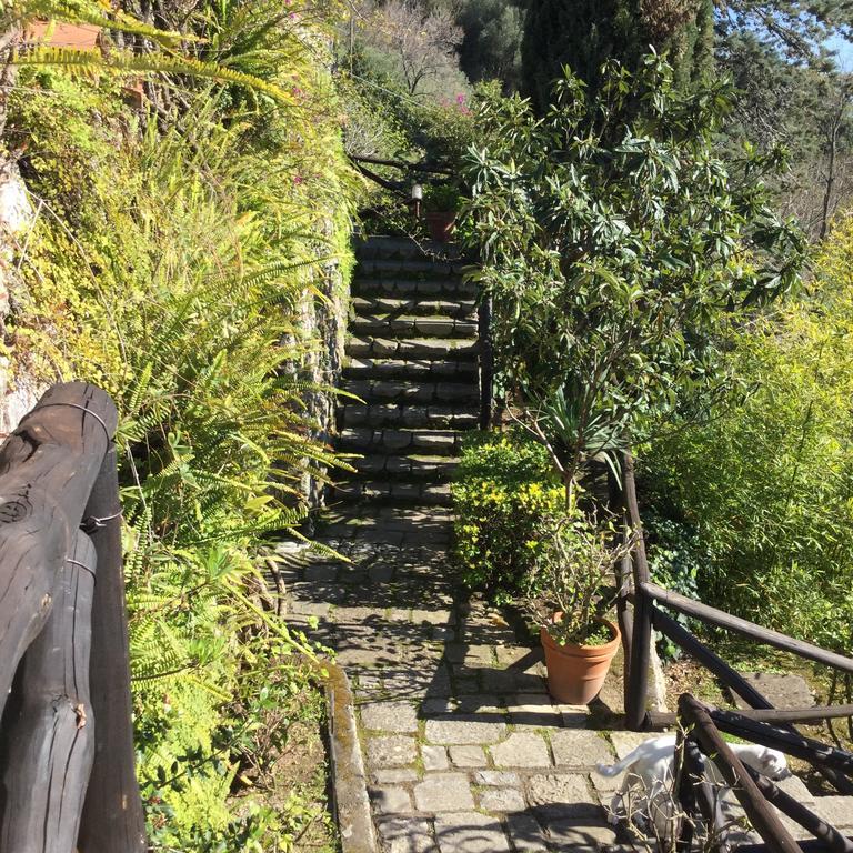 B&B Le Tre Casette Maratea Zewnętrze zdjęcie