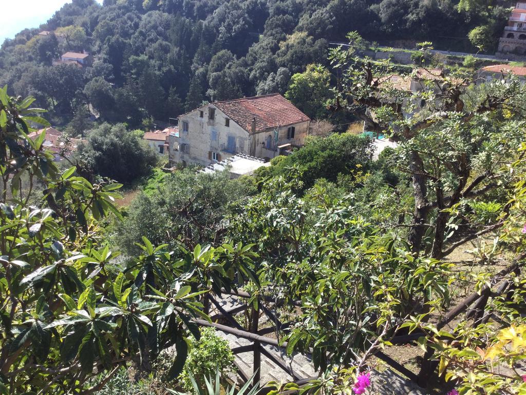B&B Le Tre Casette Maratea Zewnętrze zdjęcie