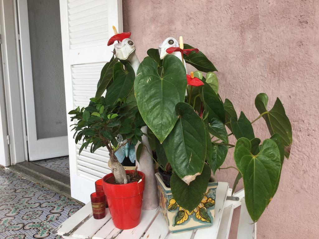 B&B Le Tre Casette Maratea Zewnętrze zdjęcie