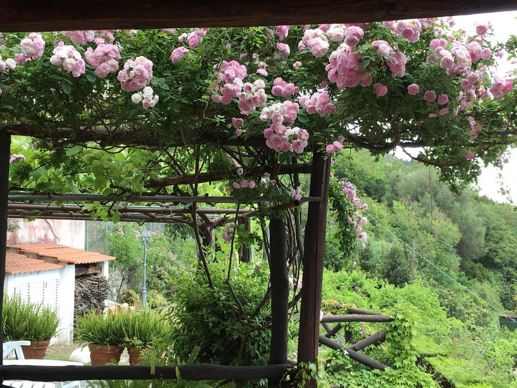 B&B Le Tre Casette Maratea Zewnętrze zdjęcie
